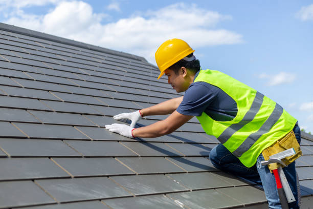 Best Local Roofing Companies  in Blair, NE