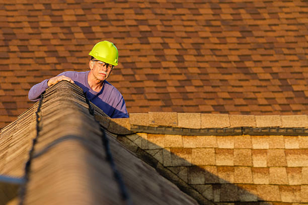 Best Storm Damage Roof Repair  in Blair, NE